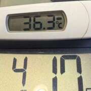 ヒメ日記 2025/04/17 06:51 投稿 らん MIKADO