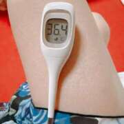 ヒメ日記 2025/04/25 07:45 投稿 らん MIKADO