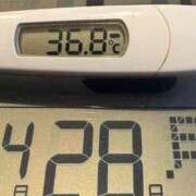 ヒメ日記 2025/04/28 06:57 投稿 らん MIKADO