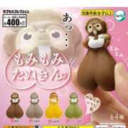 ヒメ日記 2025/05/06 07:01 投稿 らん MIKADO