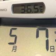 ヒメ日記 2025/05/07 06:41 投稿 らん MIKADO