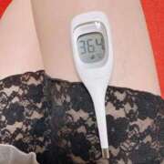 ヒメ日記 2025/05/17 07:41 投稿 らん MIKADO