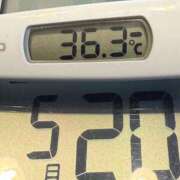 ヒメ日記 2025/05/20 07:11 投稿 らん MIKADO