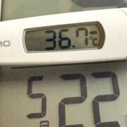 ヒメ日記 2025/05/22 09:25 投稿 らん MIKADO