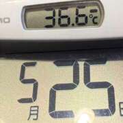 ヒメ日記 2025/05/25 05:05 投稿 らん MIKADO