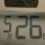 ヒメ日記 2025/05/26 09:28 投稿 らん MIKADO