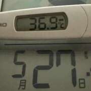 ヒメ日記 2025/05/27 07:40 投稿 らん MIKADO