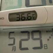 ヒメ日記 2025/05/29 06:31 投稿 らん MIKADO