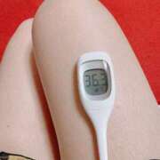 ヒメ日記 2025/05/30 07:51 投稿 らん MIKADO