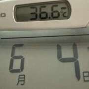 ヒメ日記 2025/06/04 07:51 投稿 らん MIKADO