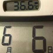 ヒメ日記 2025/06/06 05:45 投稿 らん MIKADO