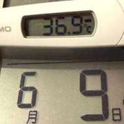 ヒメ日記 2025/06/09 05:15 投稿 らん MIKADO