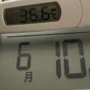 ヒメ日記 2025/06/10 10:32 投稿 らん MIKADO