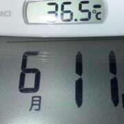 ヒメ日記 2025/06/11 08:25 投稿 らん MIKADO