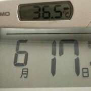 ヒメ日記 2025/06/17 09:55 投稿 らん MIKADO