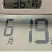 ヒメ日記 2025/06/19 09:55 投稿 らん MIKADO