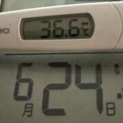 ヒメ日記 2025/06/24 09:41 投稿 らん MIKADO