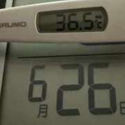 ヒメ日記 2025/06/26 08:45 投稿 らん MIKADO