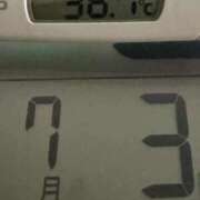 ヒメ日記 2025/07/03 07:57 投稿 らん MIKADO