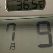 ヒメ日記 2025/07/09 07:16 投稿 らん MIKADO