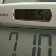 ヒメ日記 2025/07/10 07:07 投稿 らん MIKADO