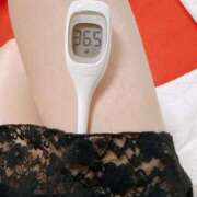 ヒメ日記 2025/07/11 08:01 投稿 らん MIKADO