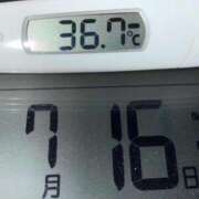 ヒメ日記 2025/07/16 06:46 投稿 らん MIKADO