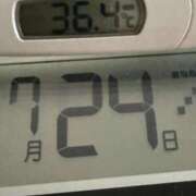 ヒメ日記 2025/07/24 07:35 投稿 らん MIKADO