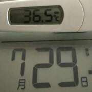 ヒメ日記 2025/07/29 09:07 投稿 らん MIKADO