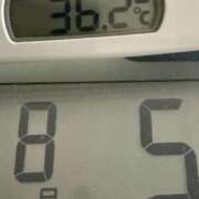 ヒメ日記 2025/08/05 11:06 投稿 らん MIKADO