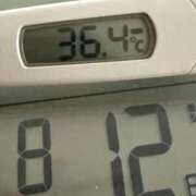 ヒメ日記 2025/08/12 07:35 投稿 らん MIKADO