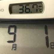 ヒメ日記 2025/09/01 08:36 投稿 らん MIKADO