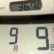 ヒメ日記 2025/09/09 11:02 投稿 らん MIKADO