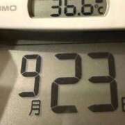 ヒメ日記 2025/09/23 06:55 投稿 らん MIKADO