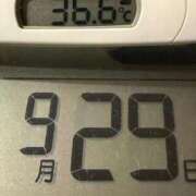 ヒメ日記 2025/09/29 08:47 投稿 らん MIKADO