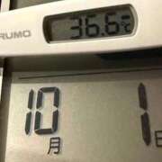 ヒメ日記 2025/10/01 10:55 投稿 らん MIKADO