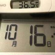 ヒメ日記 2025/10/16 11:52 投稿 らん MIKADO