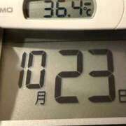 ヒメ日記 2025/10/23 09:41 投稿 らん MIKADO