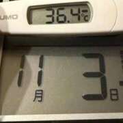 ヒメ日記 2025/11/03 07:45 投稿 らん MIKADO