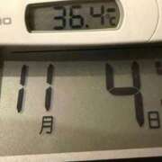 ヒメ日記 2025/11/04 09:11 投稿 らん MIKADO