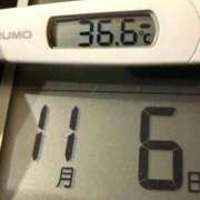 ヒメ日記 2025/11/06 09:21 投稿 らん MIKADO