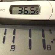 ヒメ日記 2025/11/11 09:41 投稿 らん MIKADO