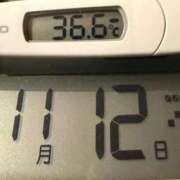 ヒメ日記 2025/11/12 10:02 投稿 らん MIKADO