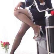 ヒメ日記 2025/11/12 10:10 投稿 らん MIKADO