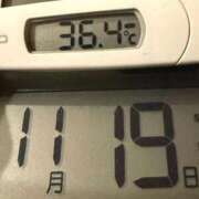 ヒメ日記 2025/11/19 12:05 投稿 らん MIKADO