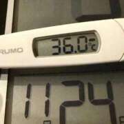 ヒメ日記 2025/11/24 03:51 投稿 らん MIKADO