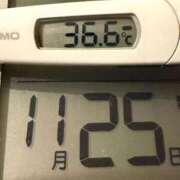 ヒメ日記 2025/11/25 04:51 投稿 らん MIKADO