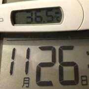 ヒメ日記 2025/11/26 10:45 投稿 らん MIKADO