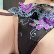 ヒメ日記 2025/11/28 13:11 投稿 らん MIKADO