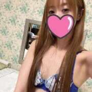 ヒメ日記 2025/12/01 08:16 投稿 らん MIKADO